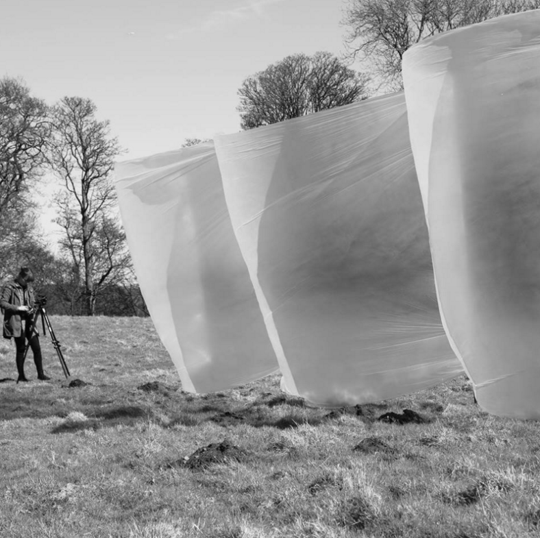 Art by Rebecca Gavigan